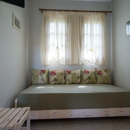 Sofia's House