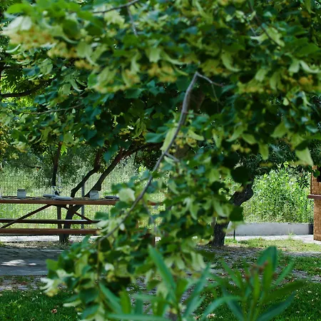 Sofia's House דירה וורוורו