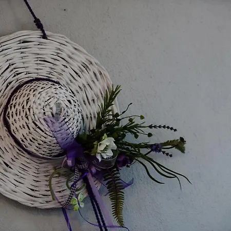 Sofia's House * וורוורו