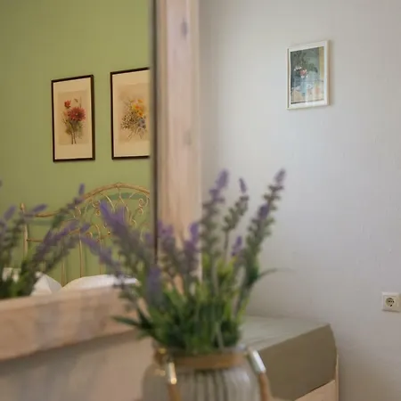 דירה Sofia's House