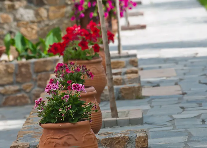 Sofia's House * Vourvourou