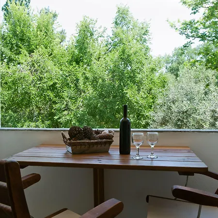 Sofia's House Apartment *