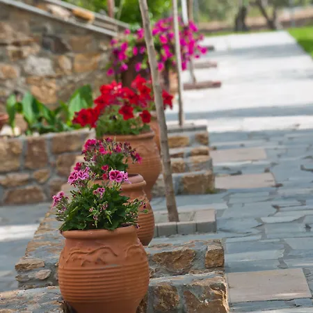 Sofia's House * Vourvourou