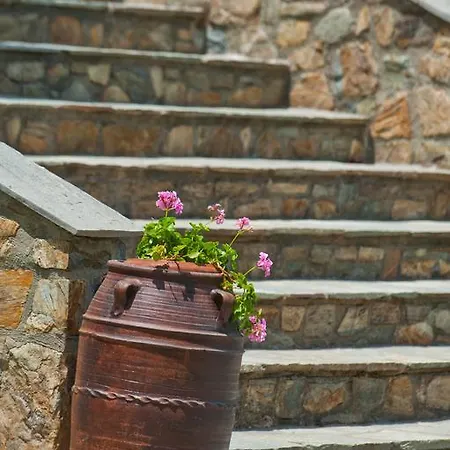 Sofia's House Apartment *